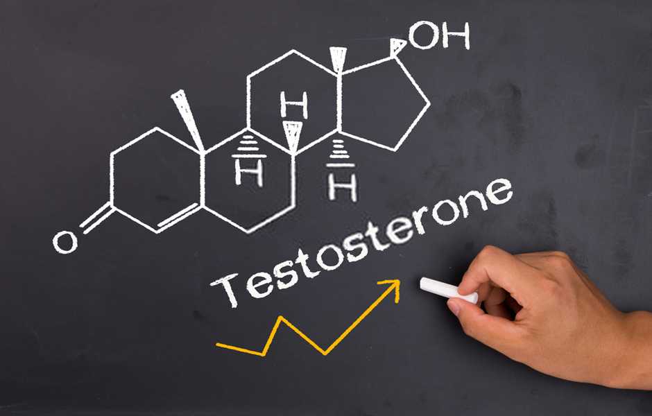 testosterone basso